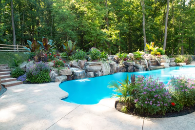 Daintree - Spring City, NJ