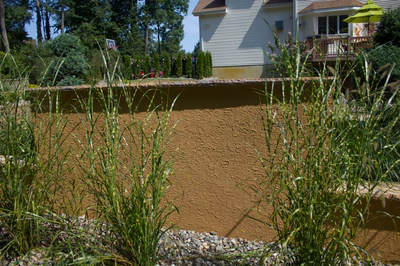 Single-tier natural stone boulder waterfall cascading into a backyard pool surrounded by zebra grass